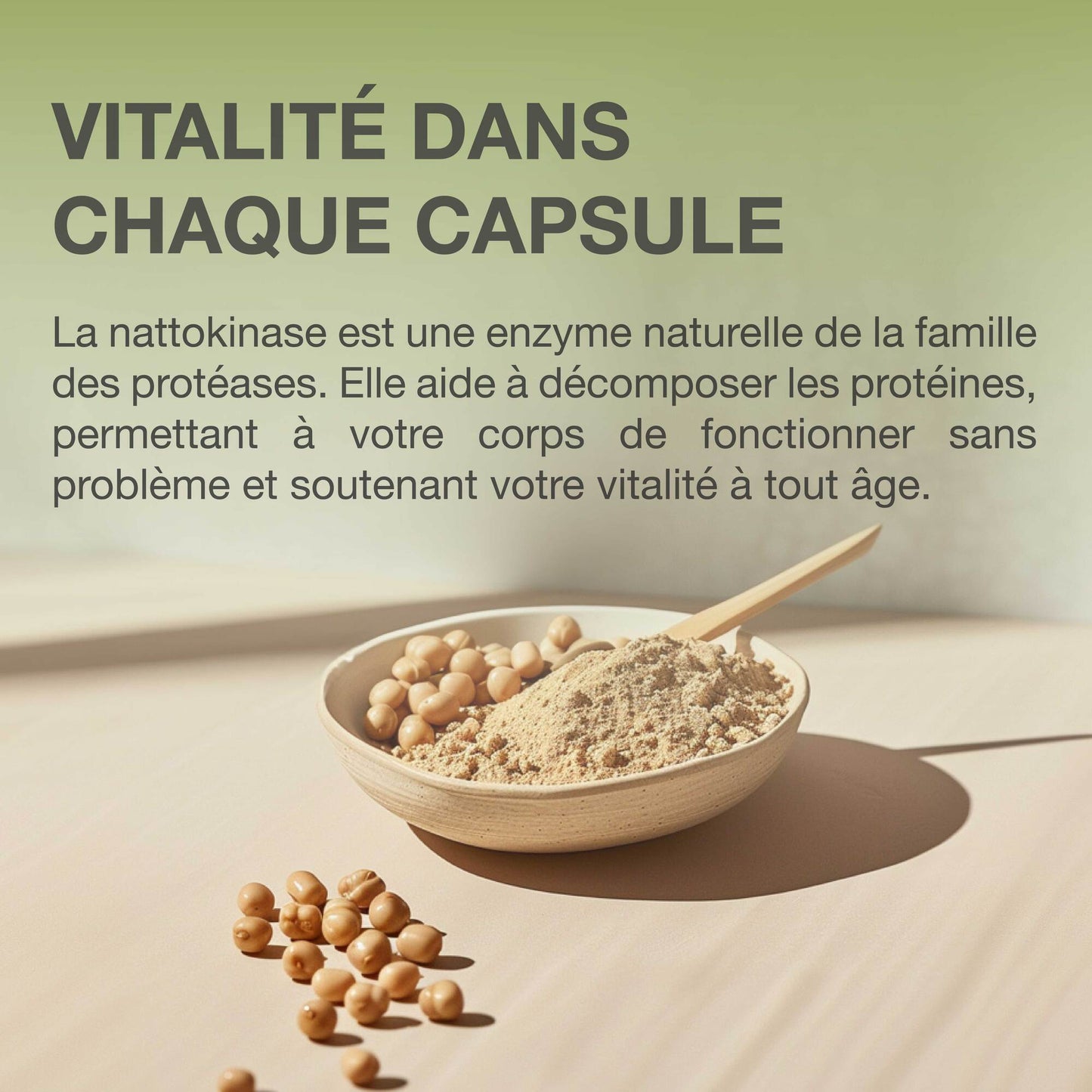 Nattokinase | 240 gélules