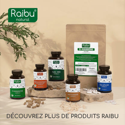 Nattokinase | 240 gélules