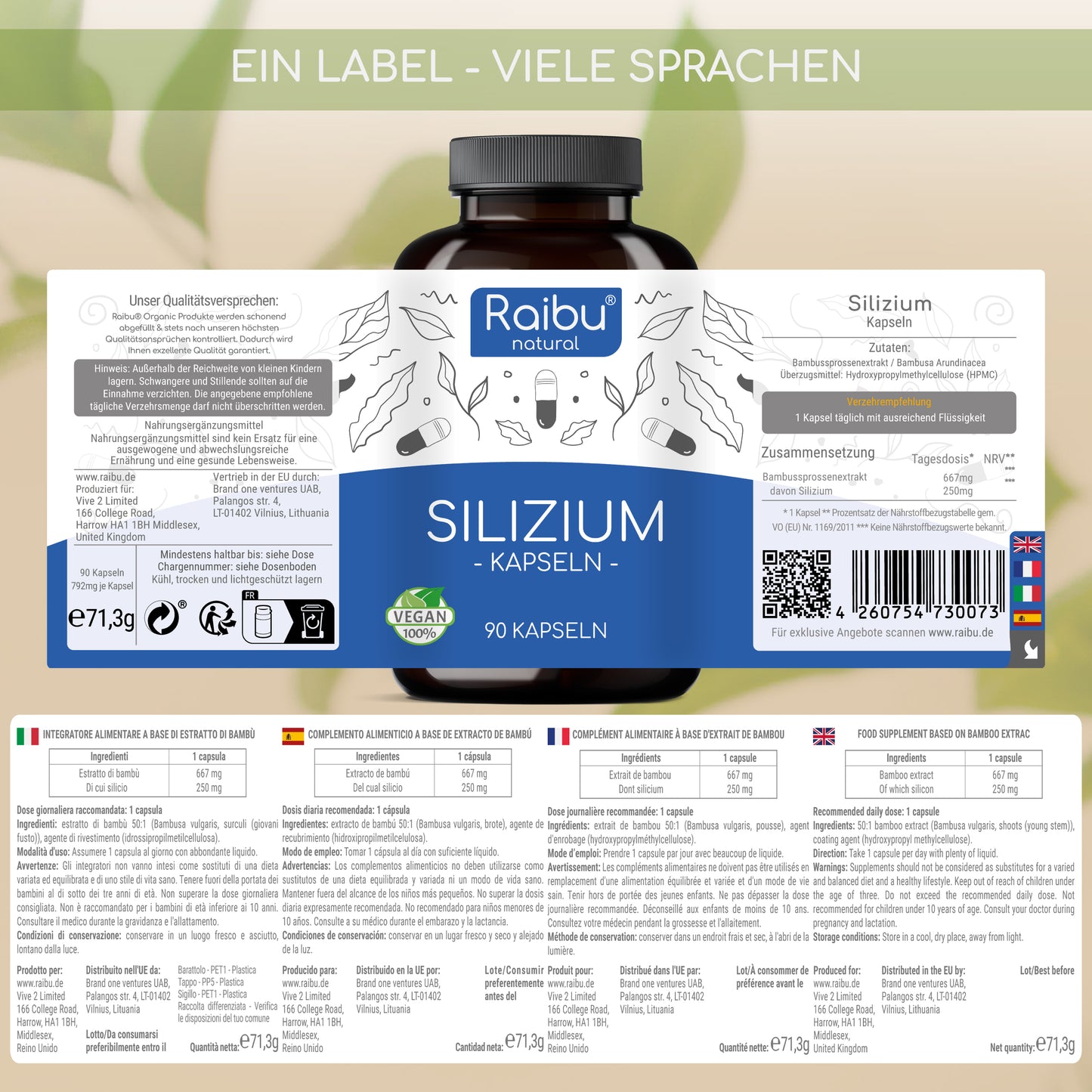 Silicon - high dose (500mg) | 90 Cap (eu)