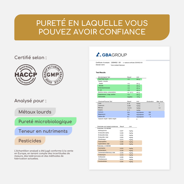 Crinière de lion (forte dose) | 200 capsules (fr)