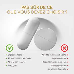 Crinière de lion (forte dose) | 200 capsules (fr)