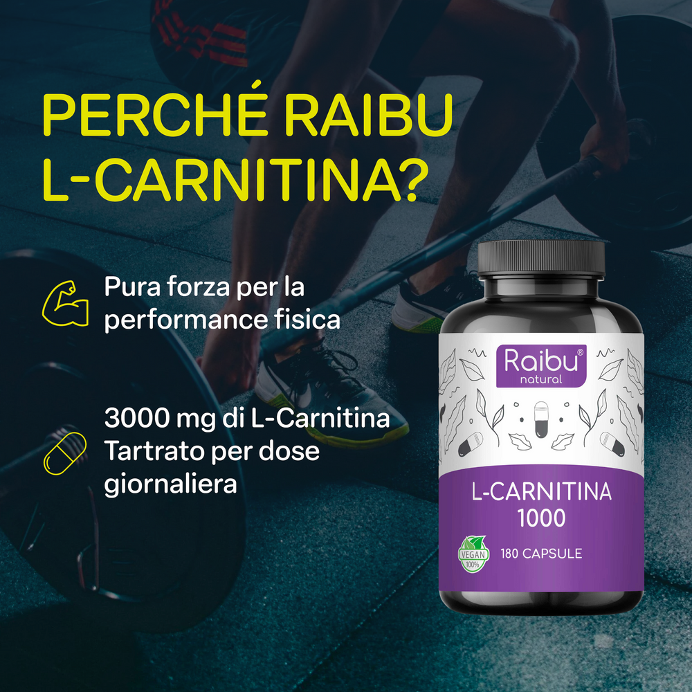 L-Carnitina 1000 | 180 cápsulas (it)