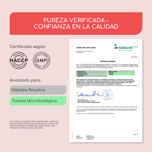 Complejo enzimático | 90 cápsulas