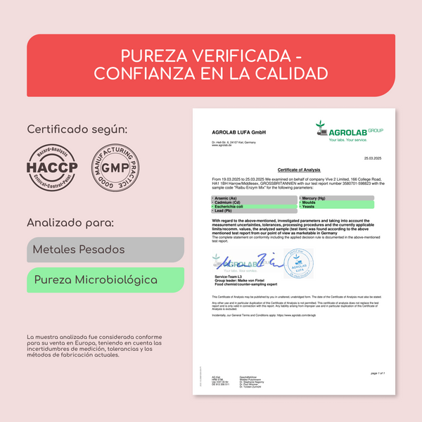 Complejo enzimático | 90 cápsulas