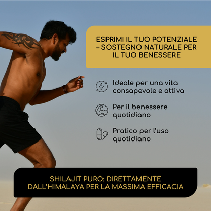 Shilajit | 120 cápsulas