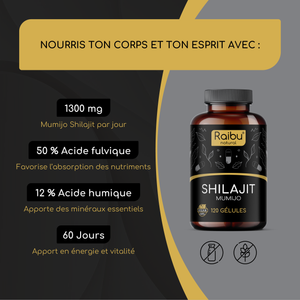 Shilajit | 120 Cap (fr)