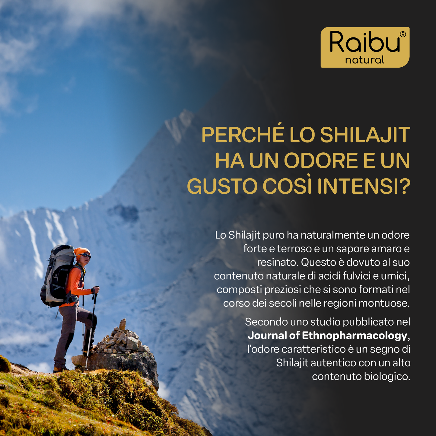 Shilajit Himalayan | 50 serv.