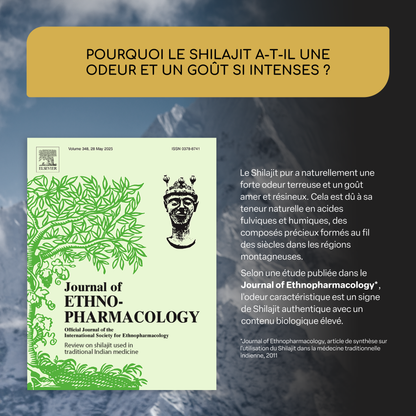 Shilajit | 50 serv (fr)