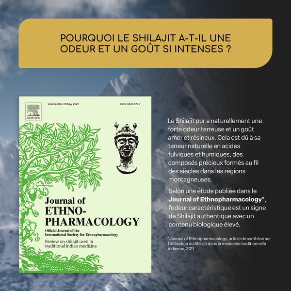 Shilajit | 50 serv (fr)