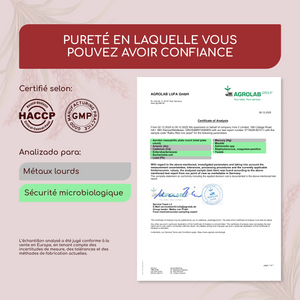 Red Rice Yeast | 120 Capsules (fr)