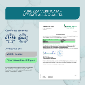 Magnesium-Complex | 200 capsules (it)