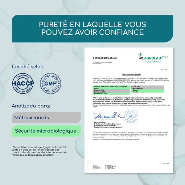 Magnesium-Complex | 200 capsules (fr)