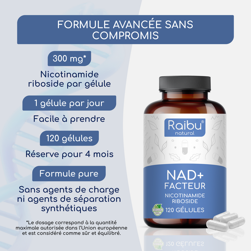 NAD+ Factor | 120 capsules (fr)