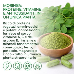 Moringa BIO | 270 capsules (it)