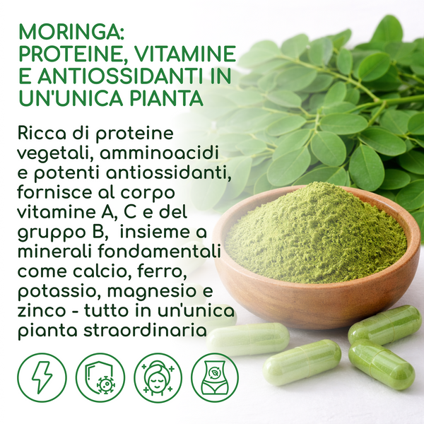 Moringa BIO | 270 capsules (it)
