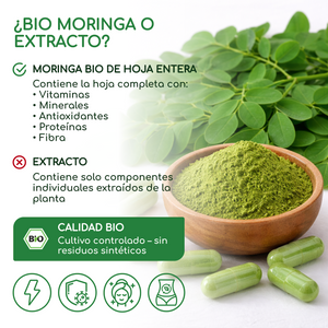 Moringa BIO | 270 gélules 