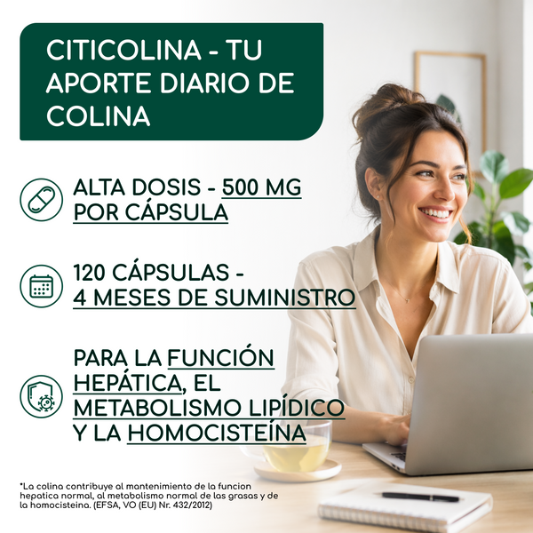 Cholin | 120 capsules (es)