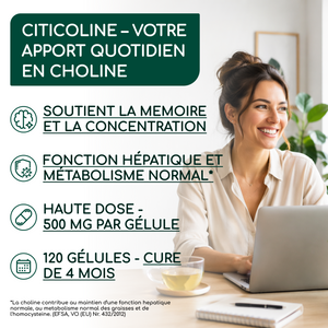 Choline | 120 gélules