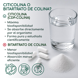Cholin | 120 capsules (es)