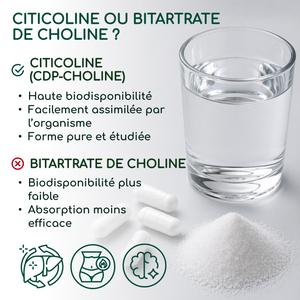 Choline | 120 gélules