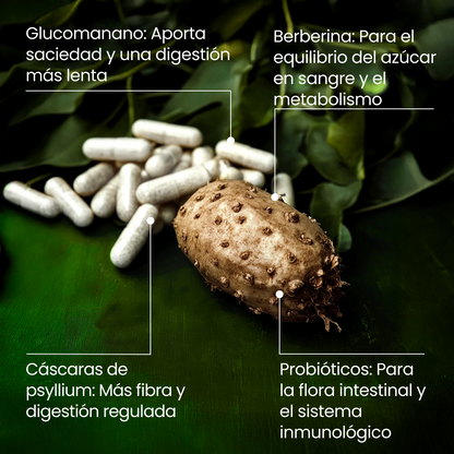 Programa de Pérdida de Peso