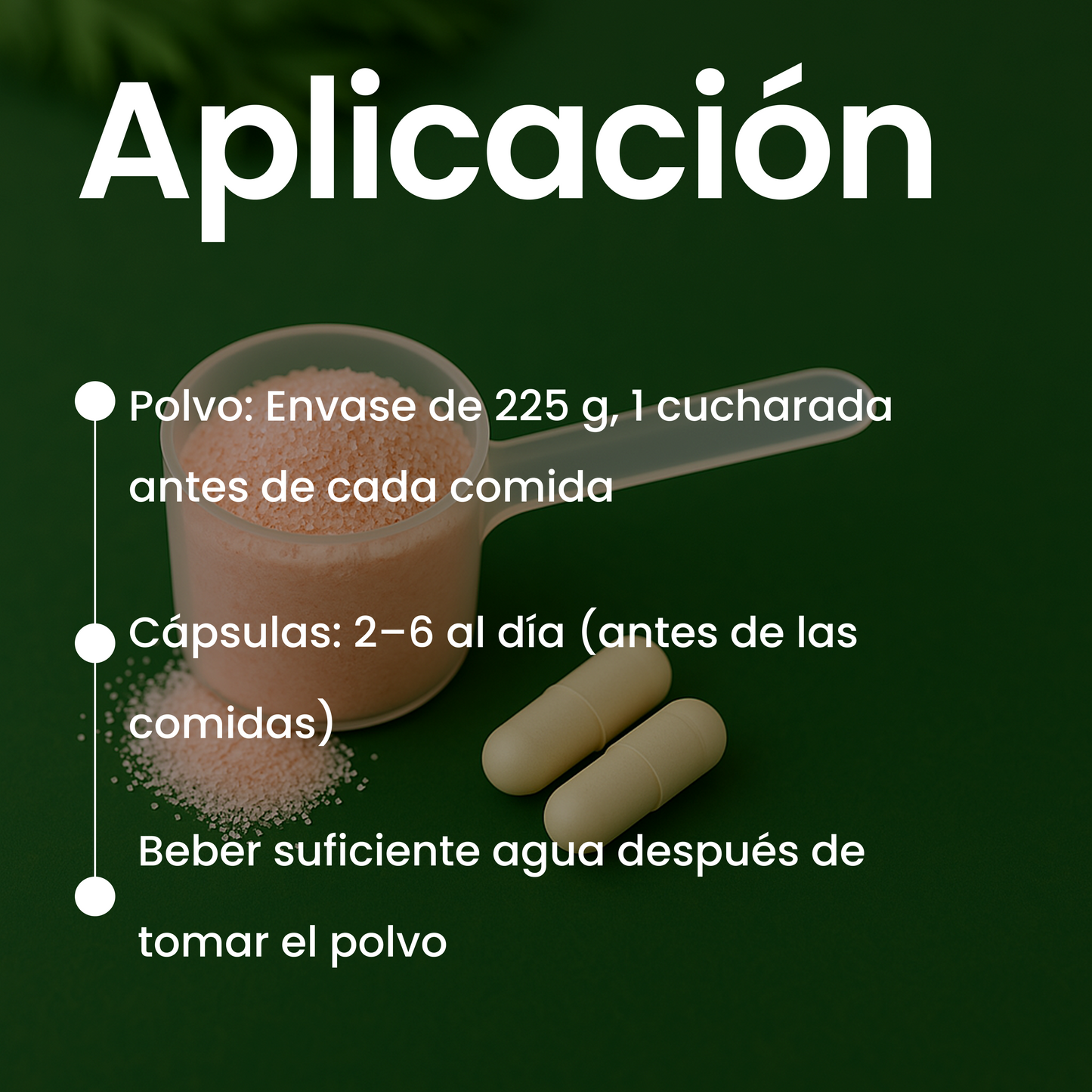 Programa de Pérdida de Peso